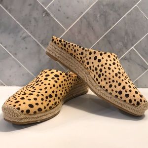 Dolce Vita cheetah print mules size 8